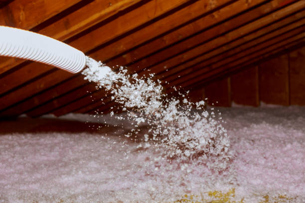 Best DIY Insulation Kits and Guidance in Glencoe, MN