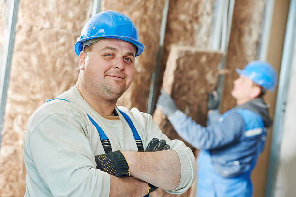 Best Geographic-Specific Insulation Services in Glencoe, MN